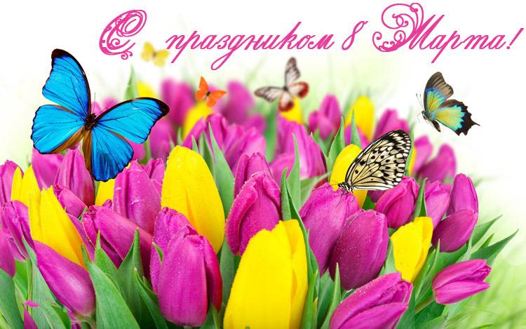 С праздником весны, милые женщины! Поздравления НИУ «БелГУ» С праздником весны, милые женщины!