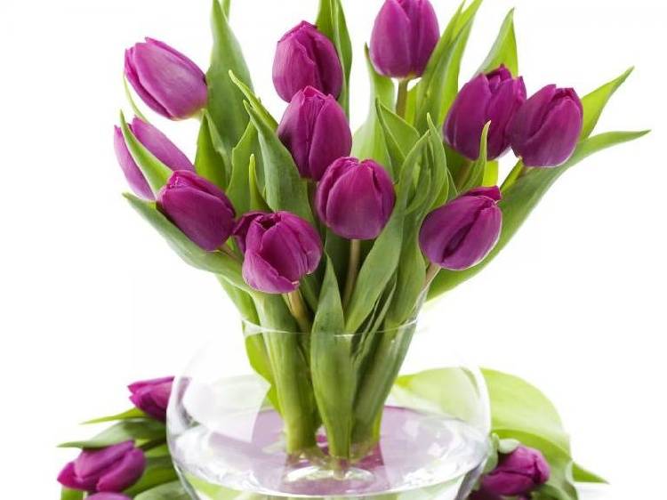 О Международном женском дне События НИУ «БелГУ» о международном женском дне