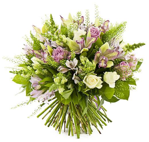 С Днём российской молодёжи! Поздравления НИУ «БелГУ» С Днём российской молодёжи!