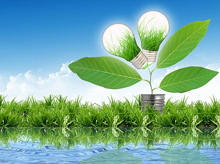 "Зелёный" конкурс События НИУ «БелГУ» "зелёный" конкурс