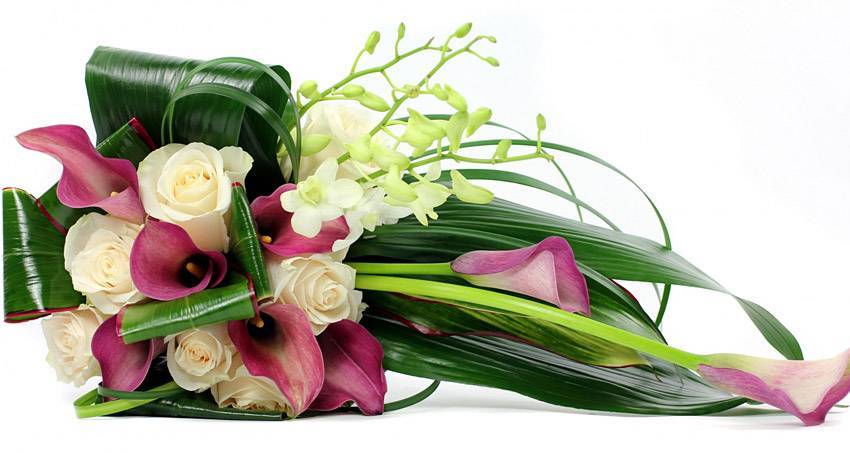 Коллектив НИУ «БелГУ» поздравляет с юбилеем Андрея Андреевича Присного Поздравления НИУ «БелГУ» Коллектив НИУ «БелГУ» поздравляет с юбилеем Андрея Андреевича Присного