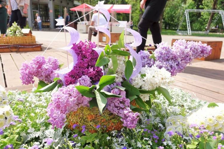 Landscape Designs Receive Prizes Landscape Designs Receive Prizes