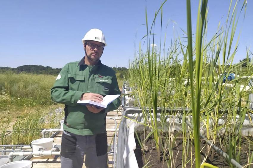 Уникальные фитоочистные сооружения построили на Яковлевском ГОКе с участием НИУ «БелГУ» События НИУ «БелГУ» уникальные фитоочистные сооружения построили на яковлевском гоке с участием ниу «белгу»