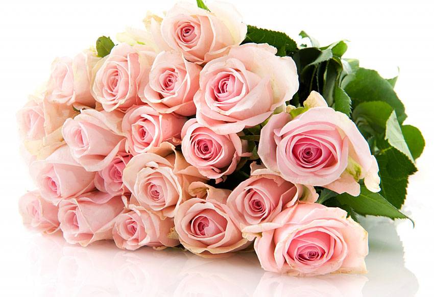 Коллектив НИУ «БелГУ» поздравляет с юбилеем Марину Александровну Бондареву Поздравления НИУ «БелГУ» Коллектив НИУ «БелГУ» поздравляет с юбилеем Марину Александровну Бондареву