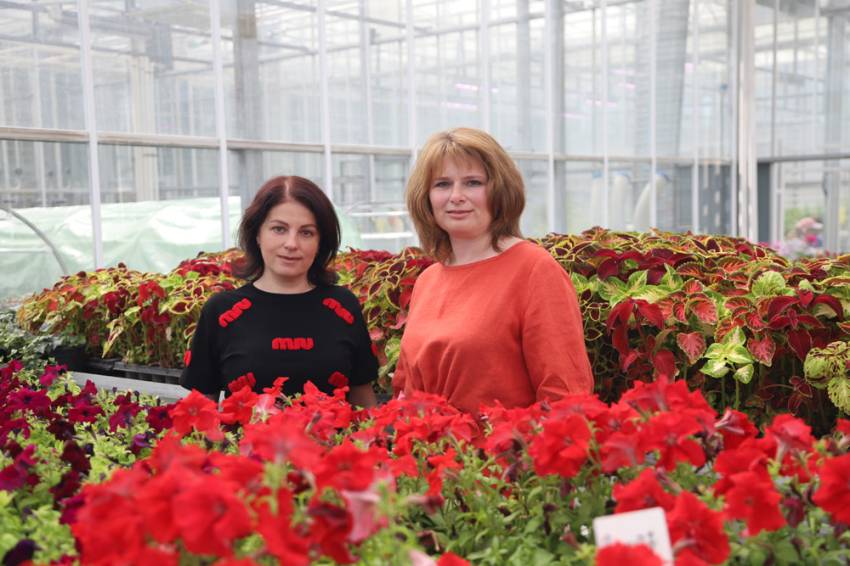 Более 50 000 однолетних и многолетних растений вырастили в Ботаническом саду НИУ «БелГУ» События НИУ «БелГУ» более 50 000 однолетних и многолетних растений вырастили в ботаническом саду ниу «белгу»