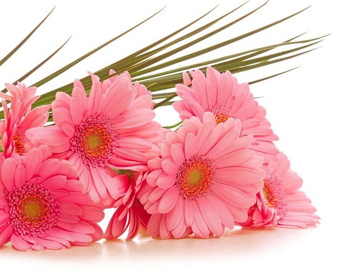 Коллектив НИУ «БелГУ» поздравляет с юбилеем Ирину Витальевну Батлуцкую Поздравления НИУ «БелГУ» Коллектив НИУ «БелГУ» поздравляет с юбилеем Ирину Витальевну Батлуцкую