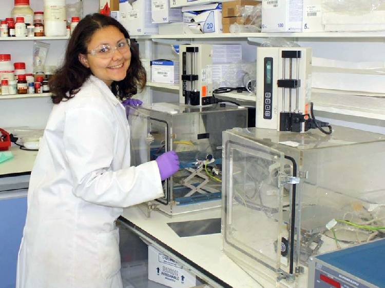 Effective treatment of ophthalmic herpes   Effective treatment of ophthalmic herpes