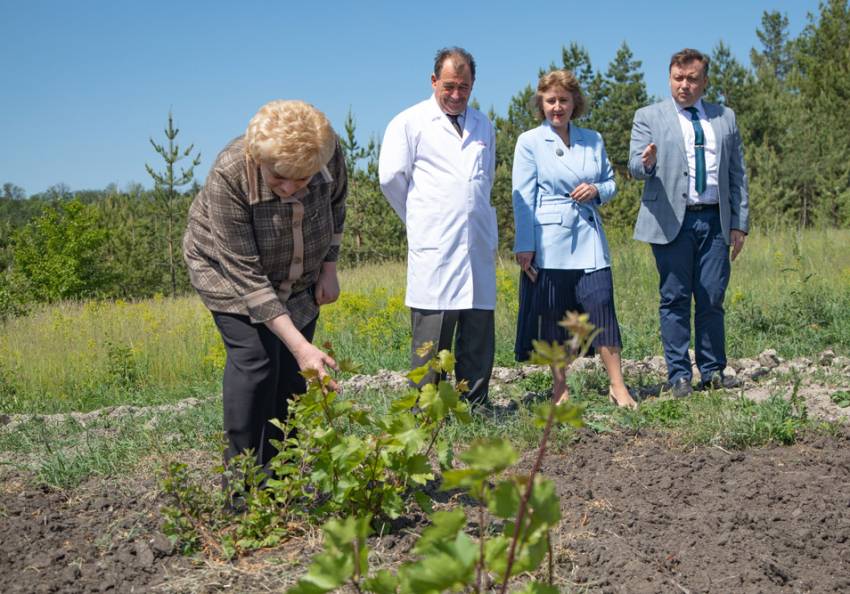 Реализацию проектов НОЦ «Инновационные решения в АПК» в области генетики обсудили в НИУ «БелГУ»  События НИУ «БелГУ» реализацию проектов ноц «инновационные решения в апк» в области генетики обсудили в ниу «белгу»