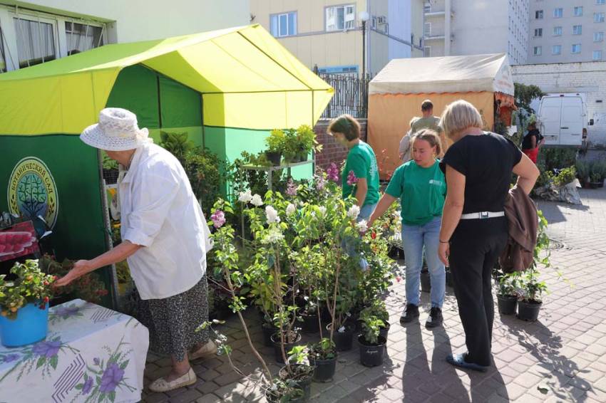 Ботанический сад НИУ «БелГУ» представил свою продукцию на выставке «Осенний сад» События НИУ «БелГУ» ботанический сад ниу «белгу» представил свою продукцию на выставке «осенний сад»