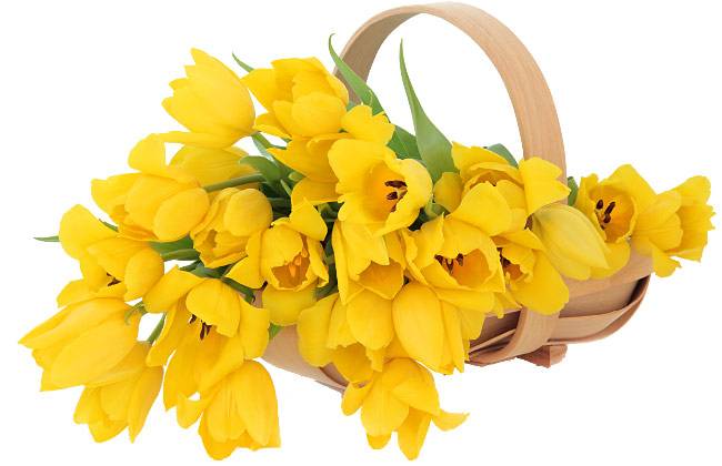 Коллектив НИУ «БелГУ» поздравляет с юбилеем Татьяну Петровну Фурсину Поздравления НИУ «БелГУ» Коллектив НИУ «БелГУ» поздравляет с юбилеем Татьяну Петровну Фурсину