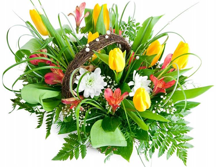 Медколледжу – 85! Поздравления НИУ «БелГУ» Медколледжу – 85!