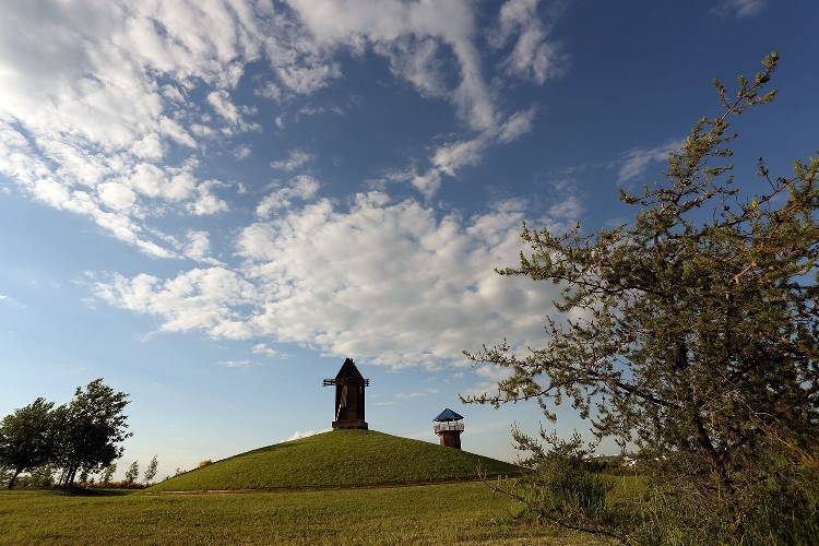 Ботсад НИУ «БелГУ» вновь приглашает друзей События НИУ «БелГУ» ботсад ниу «белгу» вновь приглашает друзей