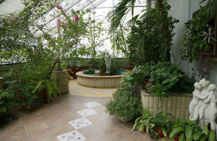 Зимний сад НИУ «БелГУ» празднует 20-летие События НИУ «БелГУ» зимний сад ниу «белгу» празднует 20-летие