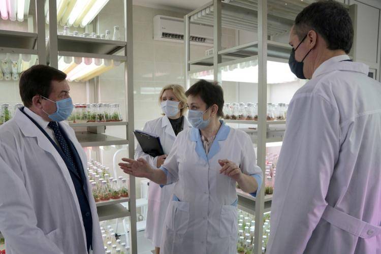 Учёными НИУ «БелГУ» Белгородчина должна гордиться События НИУ «БелГУ» учёными ниу «белгу» белгородчина должна гордиться