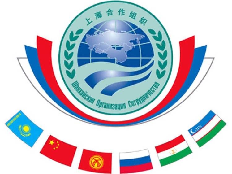 Обучение по программе Университета ШОС События НИУ «БелГУ» обучение по программе университета шос