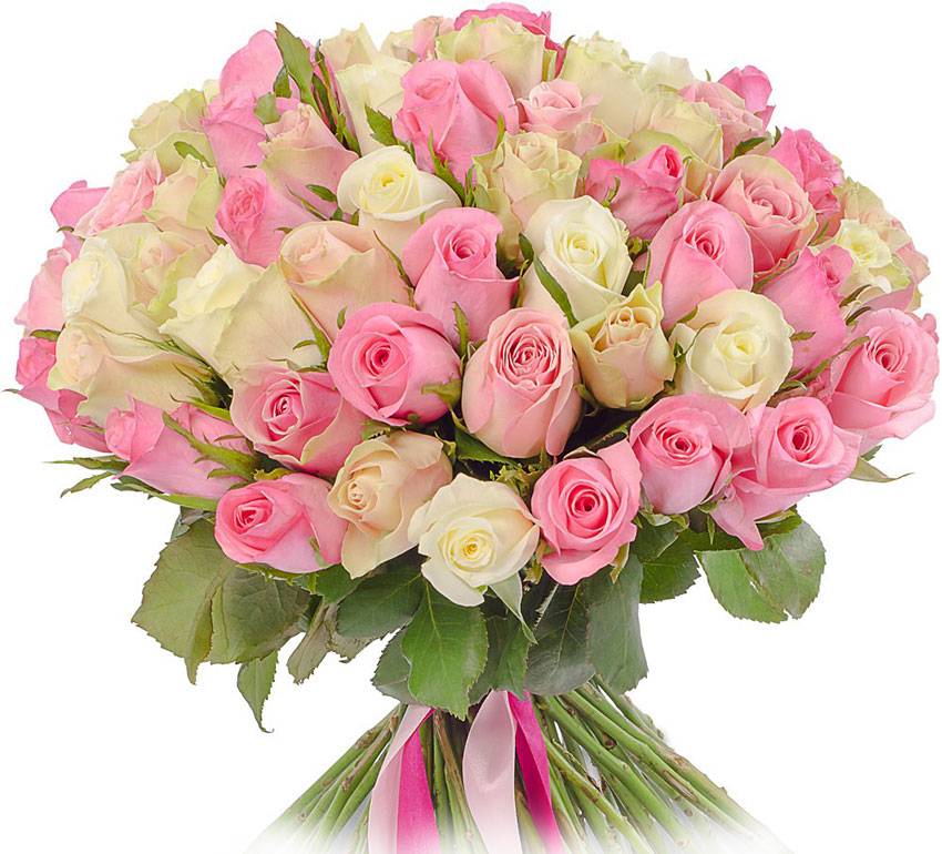 Коллектив НИУ «БелГУ» поздравляет с юбилеем ректора университета Евгению Анатольевну Карловскую Поздравления НИУ «БелГУ» Коллектив НИУ «БелГУ» поздравляет с юбилеем ректора университета Евгению Анатольевну Карловскую