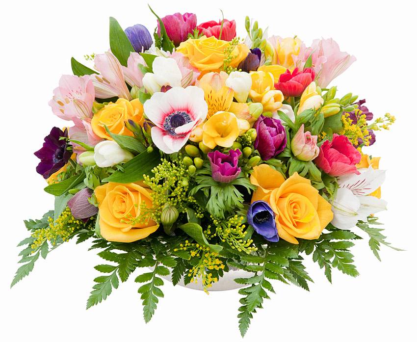 Поздравляем с присвоением учёного звания! Поздравления НИУ «БелГУ» Поздравляем с присвоением учёного звания!