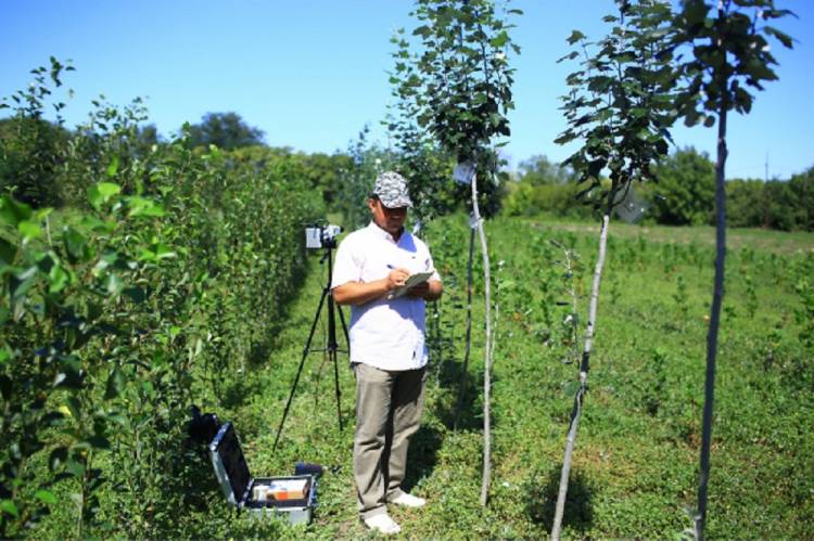 Учёные предложили новые технологии для мониторинга растений События НИУ «БелГУ» учёные предложили новые технологии для мониторинга растений