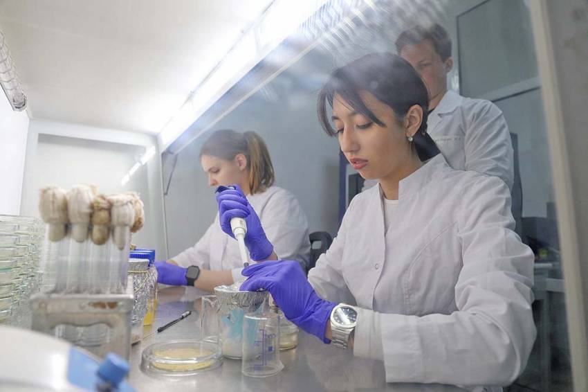 Учёные НИУ «БелГУ» разработали биокомпозицию на основе гипса для защиты растения от плесени События НИУ «БелГУ» учёные ниу «белгу» разработали биокомпозицию на основе гипса для защиты растения от плесени