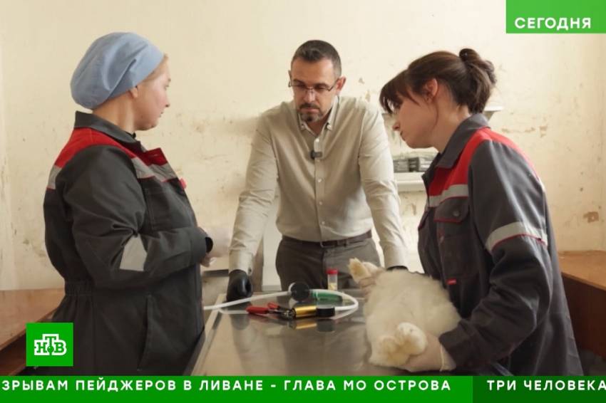 Учёные НИУ «БелГУ» рассказали федеральному телевидению о терапии кроличьим молоком События НИУ «БелГУ» учёные ниу «белгу» рассказали федеральному телевидению о терапии кроличьим молоком
