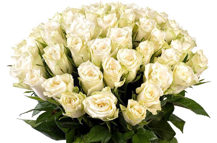 Коллектив НИУ «БелГУ» поздравляет с юбилеем Елену Александровну Балакиреву Поздравления НИУ «БелГУ» Коллектив НИУ «БелГУ» поздравляет с юбилеем Елену Александровну Балакиреву