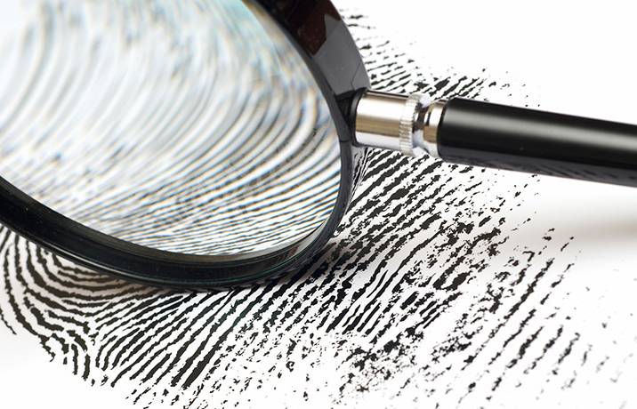 Forensic Fun! Forensic Fun!