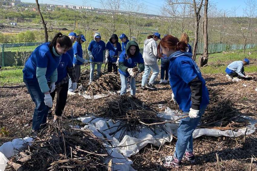 Студенты присоединились к научному проекту во время субботника в ботаническом саду События НИУ «БелГУ» студенты присоединились к научному проекту во время субботника в ботаническом саду