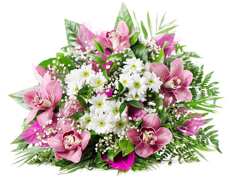 Коллектив НИУ «БелГУ» поздравляет с юбилеем Анну Михайловну Чуйко Поздравления НИУ «БелГУ» Коллектив НИУ «БелГУ» поздравляет с юбилеем Анну Михайловну Чуйко