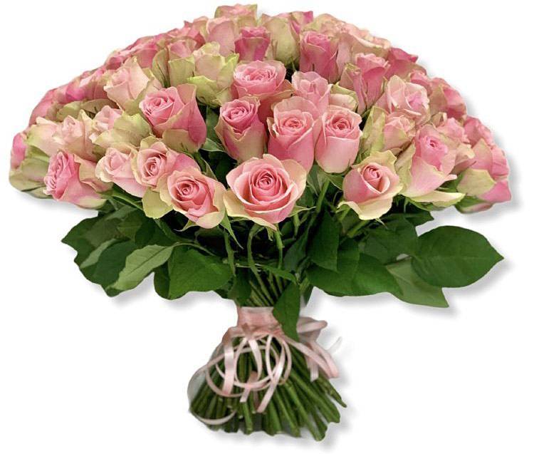 Коллектив НИУ «БелГУ» поздравляет с юбилеем Людмилу Федоровну Свойкину Поздравления НИУ «БелГУ» Коллектив НИУ «БелГУ» поздравляет с юбилеем Людмилу Федоровну Свойкину