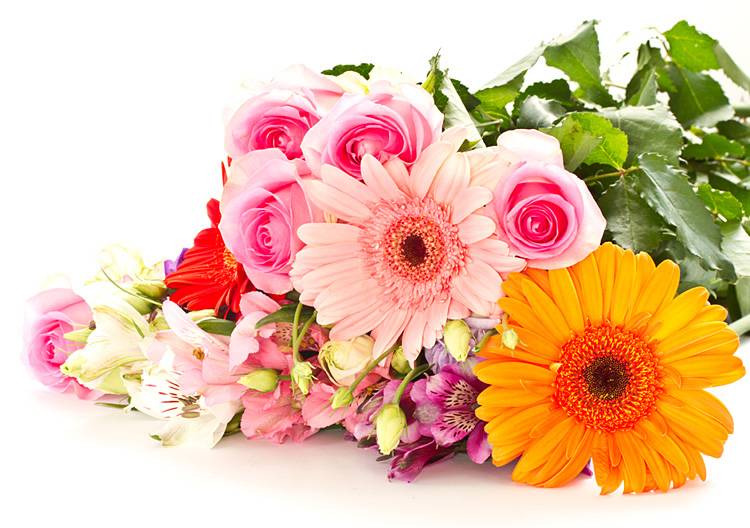 Коллектив НИУ «БелГУ» поздравляет с юбилеем Наталию Витальевну Михелеву Поздравления НИУ «БелГУ» Коллектив НИУ «БелГУ» поздравляет с юбилеем Наталию Витальевну Михелеву