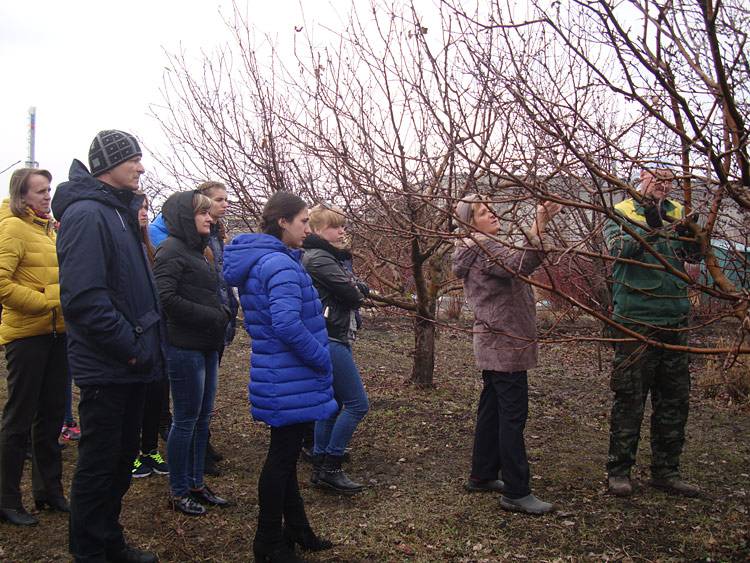<a href="https://botanicgarden.bsuedu.ru/2021/02/odnodnevnye-shkoly-seminary-dlya-sadovodov-lyubitelej-5/" target="_blank">Однодневные школы-семинары для садоводов-любителей</a> Объявления НИУ «БелГУ» <a href="https://botanicgarden.bsuedu.ru/2021/02/odnodnevnye-shkoly-seminary-dlya-sadovodov-lyubitelej-5/" target="_blank">однодневные школы-семинары для садоводов-любителей</a>